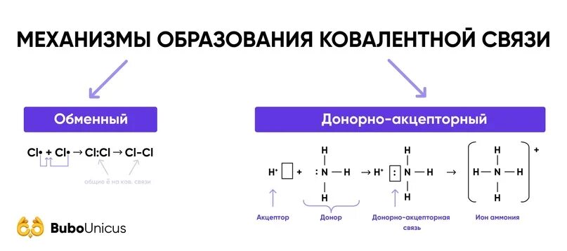 Обменный и донорно акцепторный механизм. Обменный и донорно акцепторный механизм. Обменный и донорно акцепторный механизм. Обменный и донорно-акцепторный механизмы. Механизм образования химической связи схема.