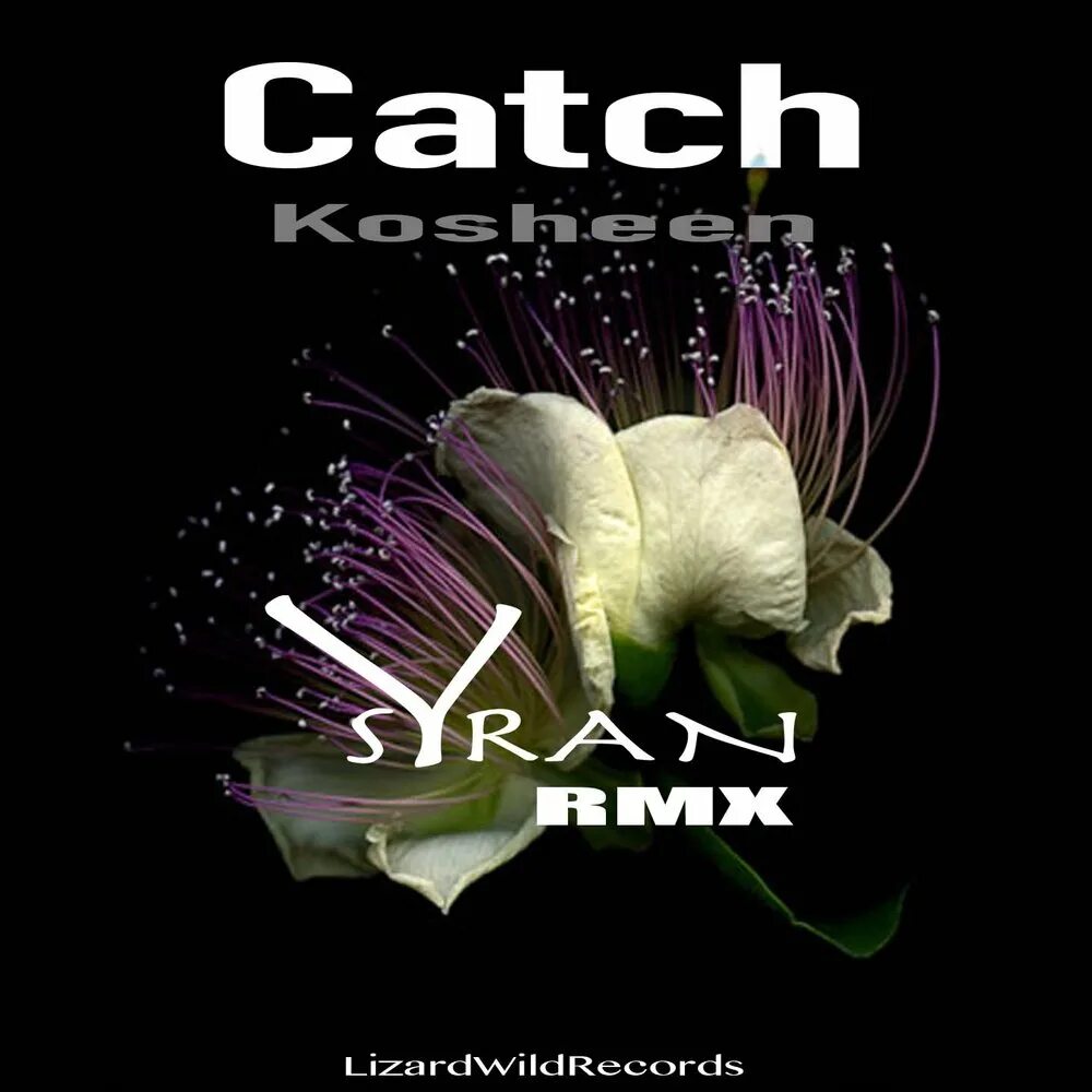 Kosheen catch. Kosheen - catch (Relanium Radio Remix). Kosheen catch Союз 2003 диск. Kosheen - catch Breaks. Catch песня слушать