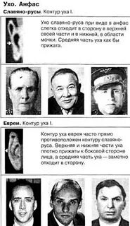 Уши евреев