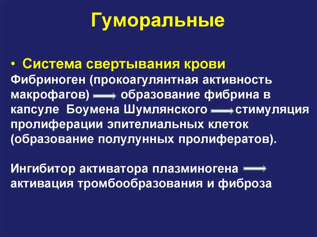 Механизмы регуляции свертывания крови. Активаторы свертывания крови. Факторы ускоряющие свертывание крови. Основной естественный ингибитор свертывания крови это.