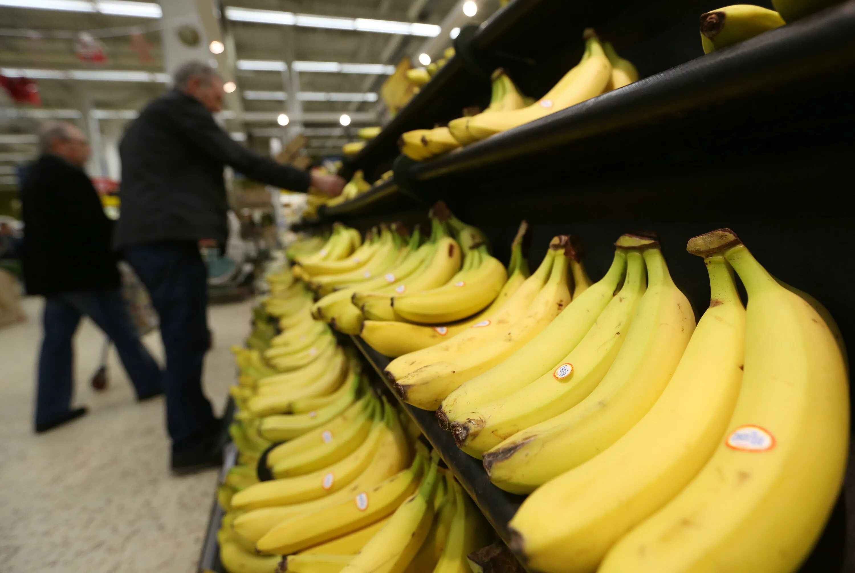 Где можно купит банан. Бананы на прилавке. Выкладка бананов. Бананы в магазине. Бананы в супермаркете.