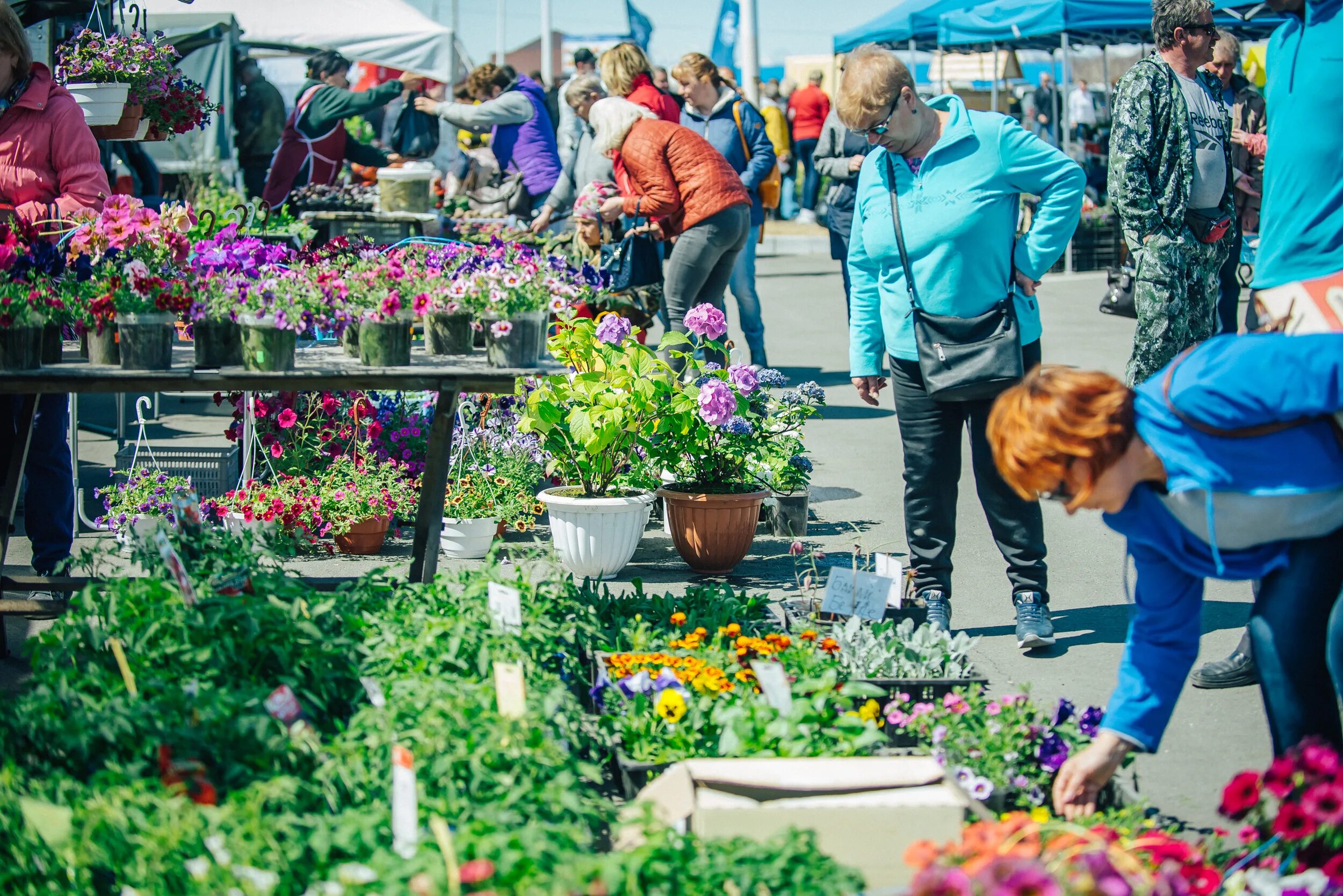 Яркуб. Искусство жить на даче. Искусство жить на даче 2022. Jetty alfred ritchy. Искусство жить на даче 2022.