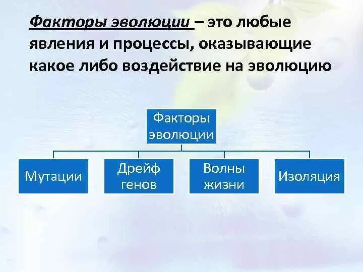 Главным фактором эволюции является. Факторы эволюции. Эволюционные факторы. Перечислите факторы эволюции. Факторы эволюции презентация.