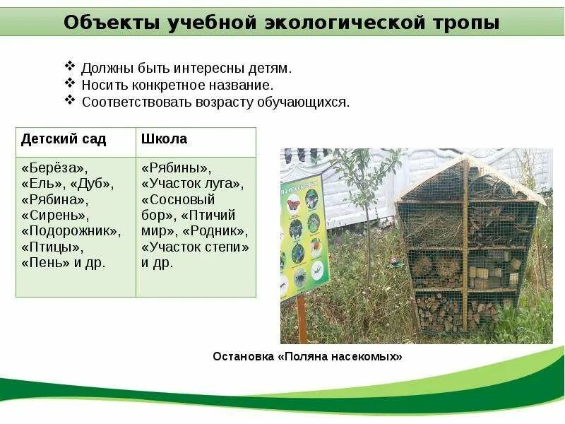 Презентация "Экологическая тропа" - скачать презентации по Экологии