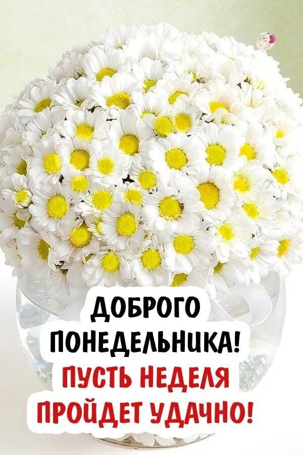 Доброе утро понедельника в прозе. Доброго понедельника. стдньным утром понедельника. с добрым утро понкдкльника. доброго понедельника и удачной недели.