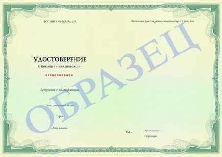 Для исследования были выданы образцы трех