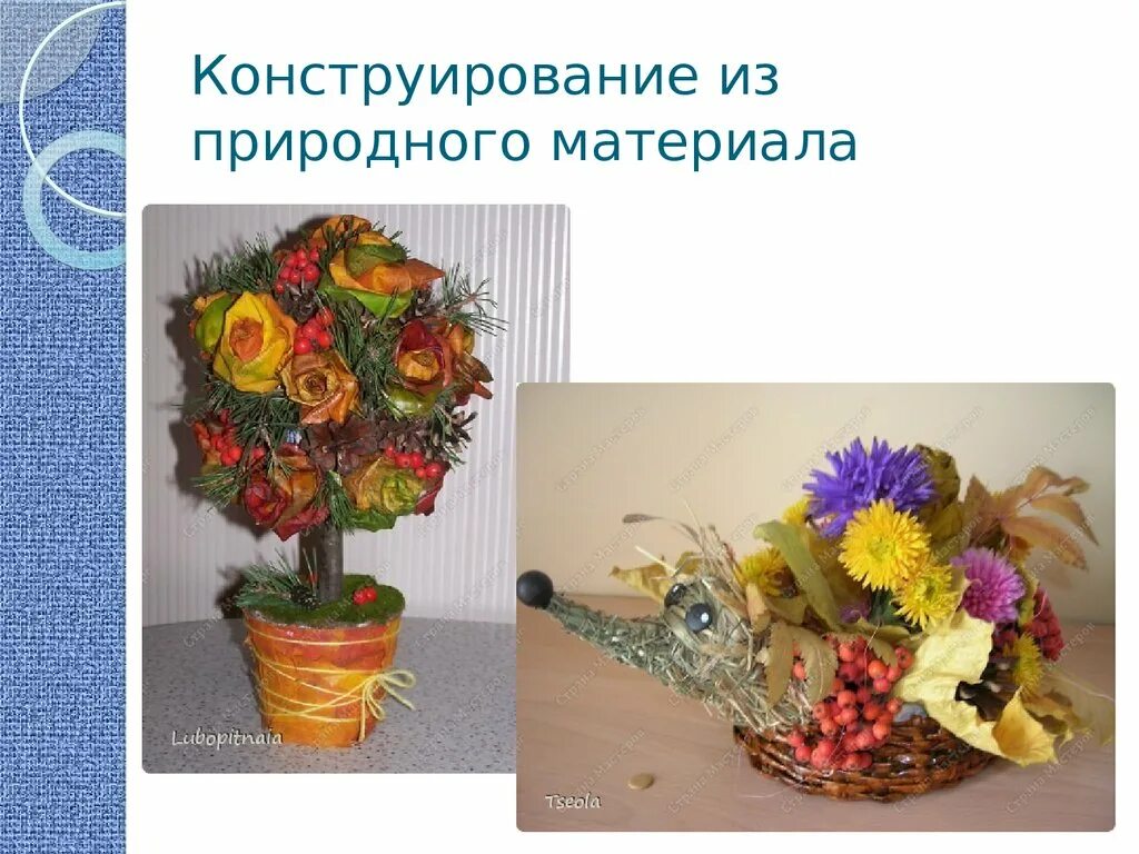Конструирование природный материал конспект. Конструирование природный материал конспект