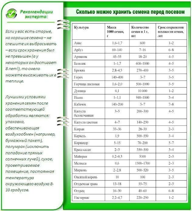 Какую минимальную температуру выдерживает рассада перцев