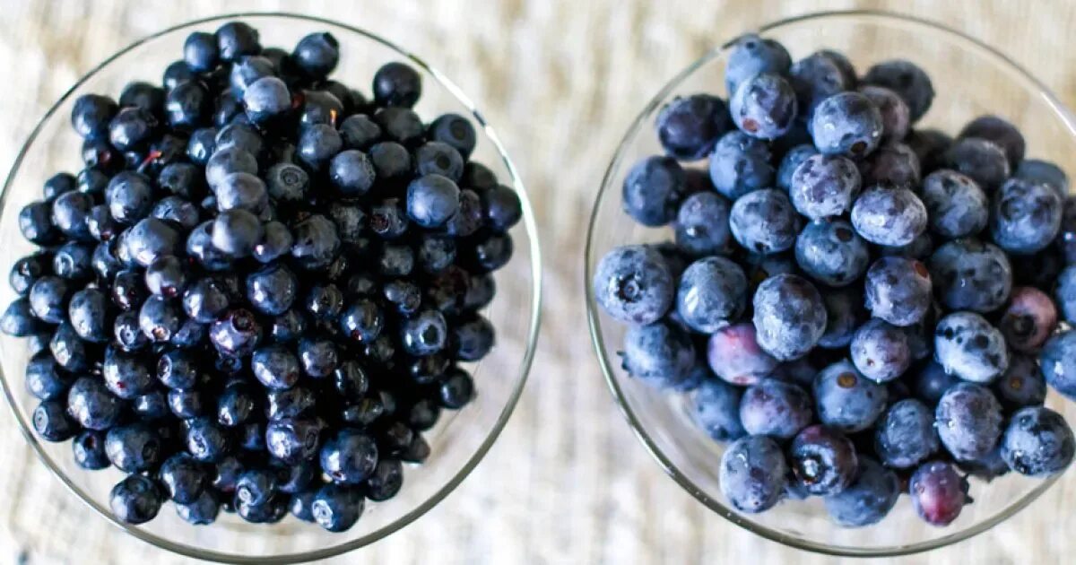 Черника голубика вкус. Vaccinium uliginosum голубика. Голубика. Черника и голубика. Черника ягода.