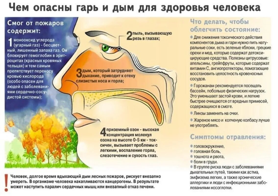 Газы сильно пахнут. Отравление от дыма при пожаре. Симптомы отравления дымом при пожаре. Влияние пожаров на здоровье человека. Симптомы при отравлении дымом от пожара.