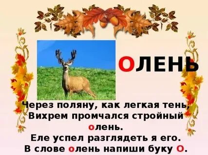 Как пишется слово олененок