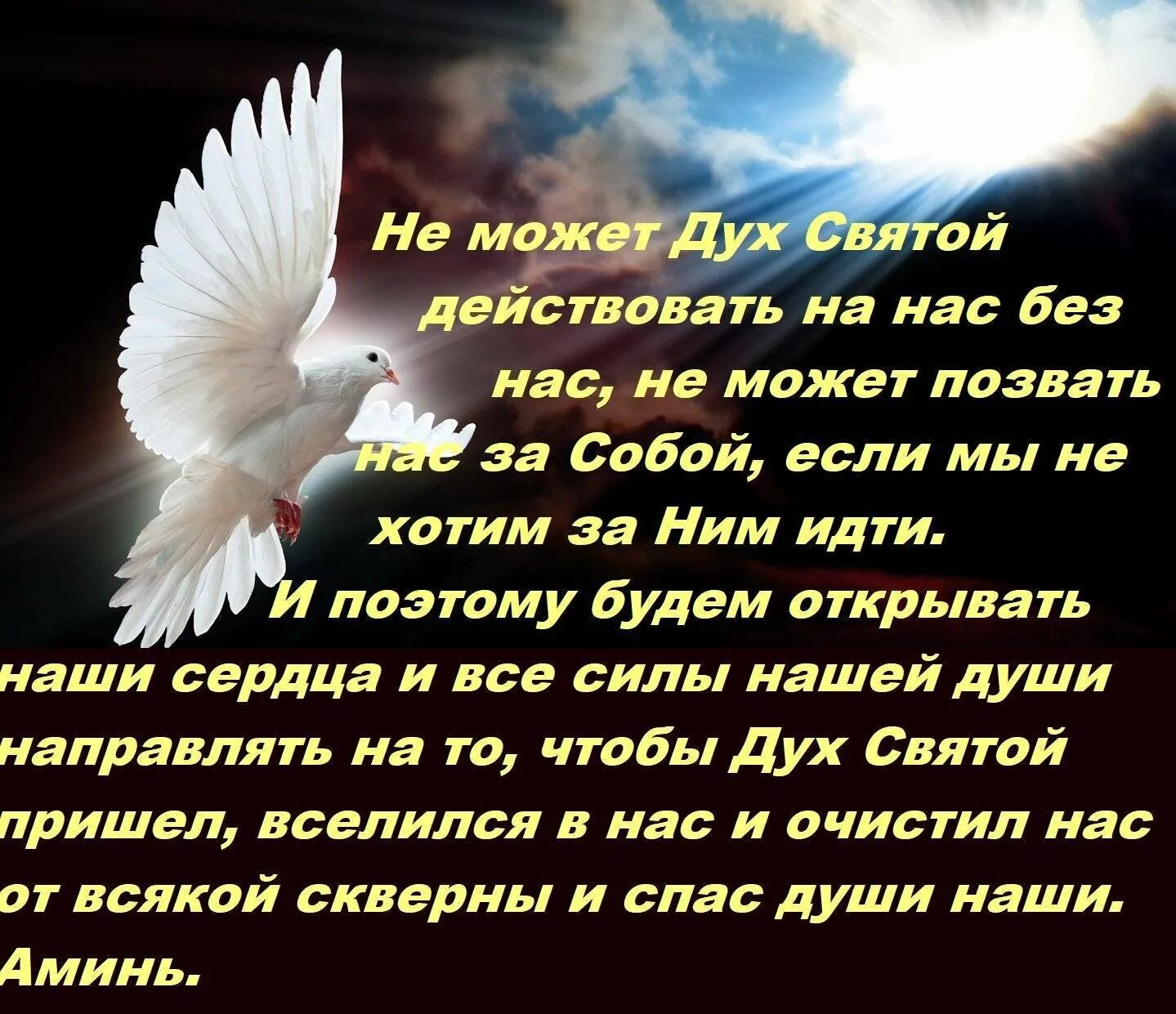 С днем Святого духа. С днем Святого духа поздравления. Святой дух поздравления. Поздравление со святым духом. Духов день слово