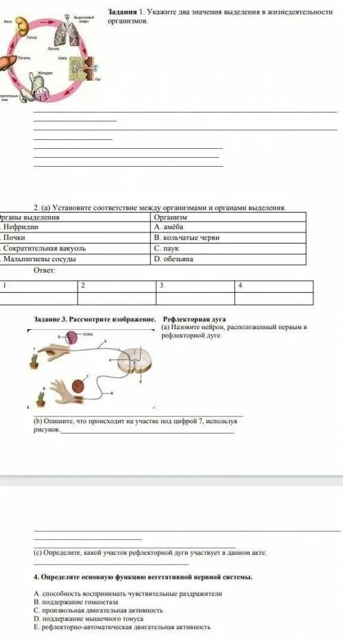 Сочи по биологии 8 класс 3 четверть. Сор 2 по биологии 7 класс 3 четверть. Биология 7 класс сор 3 четверть. Сор по биологии 7 класс 3 четверть 3 сор. Сор по биологии 7 класс 3 четверть 2 сор.