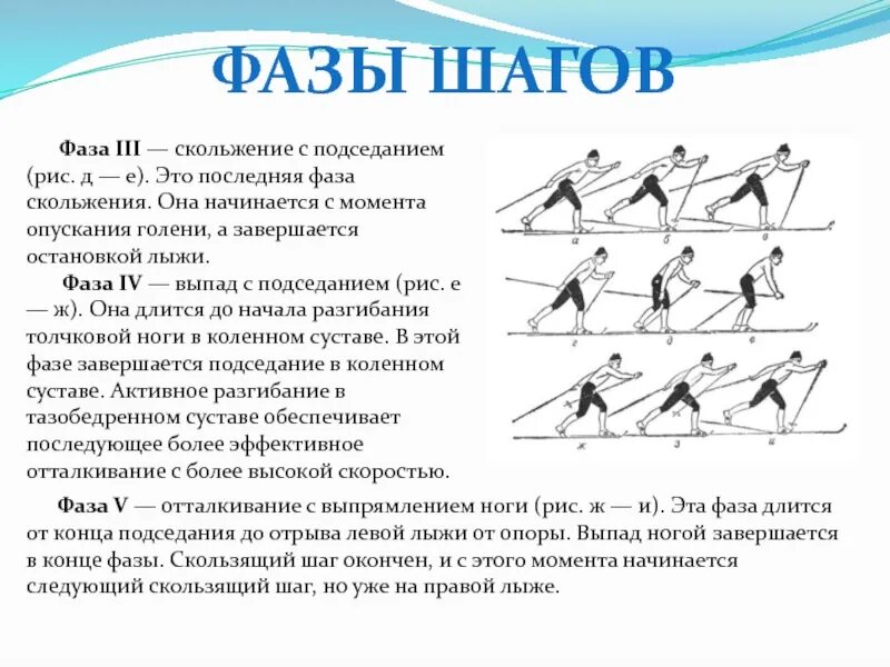 Фазы двухшажного хода. Попеременный двухшажный ход на лыжах фазы. фазы скольжения на лыжах. попеременный двухшажная ходьба фазы. фазы лыжного шага.