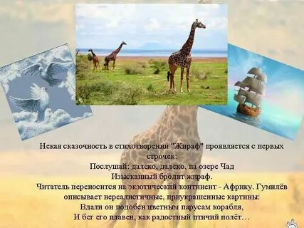 Чад жираф стихотворение