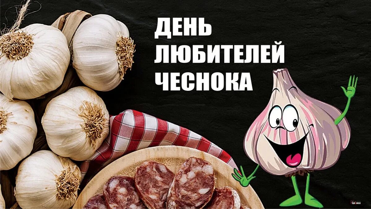 Семейный чеснок сорта. Праздник день чеснока. День любителей чеснока. Чеснок в мифах. Чеснок растение.