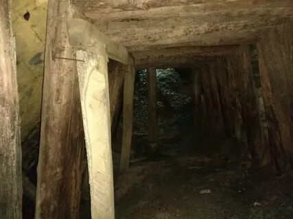 Копи 6