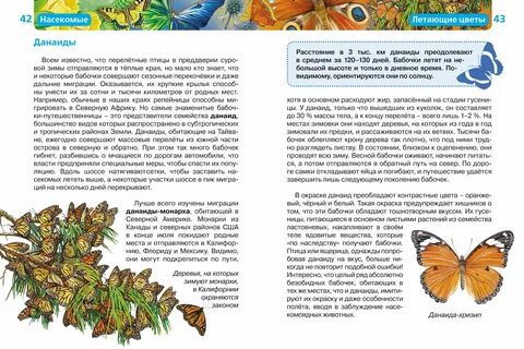 Насекомые читать