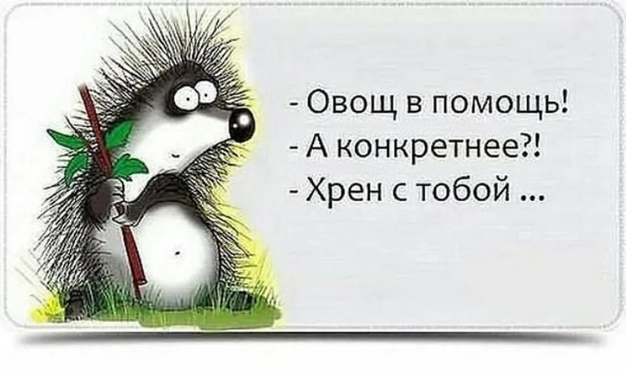 Ценю юмор. Прикольные картинки со словами. Смешные высказывания в картинках. Цитаты про хрен. Юмор в картинках со смыслом интеллектуальный.