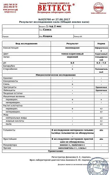 Показатели исследования кала на скрытую кровь. Результат анализа на скрытую кровь в кале. Анализ кала на гельминты. Анализ кала на скрытую кровь показатели норма. Анализ кала.