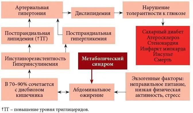 Нарушение 2 категории. Патогенез артериальной гипертензии при сахарном диабете. Патогенез сахарного диабета при метаболическом синдроме. Патогенез гипертонической болезни при сахарном диабете. Сахарный диабет артериальная гипертензия патогенез.