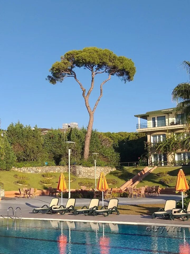 Пайн Бич Резорт Белек. Отель Pine Beach Belek. Отель Пайн Бич Белек Турция. Турция отель Maritim Pine Beach. Отель пайн бич