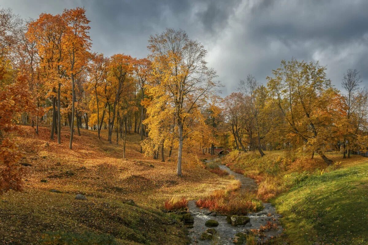 Октябрь листопад. Осень октябрь фото. Октябрьский листопад. Фото листопада в октябре.