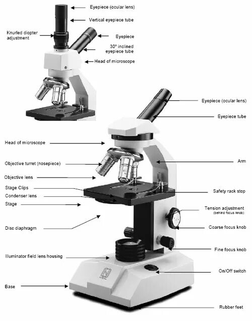 Xiaomi science microscope