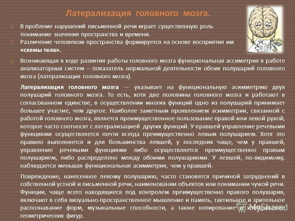 латерализация. латерализация. латерализация функций мозга. латерализация. концепции прогрессивной латерализации.