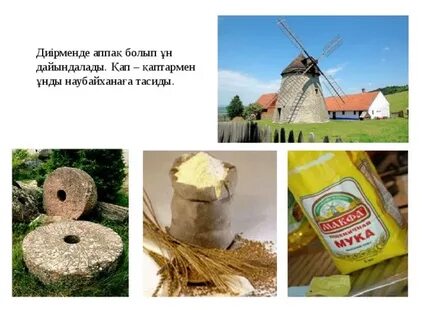 Үлкен мүшесі миджетті трахает