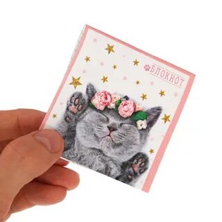 Блокнот кот
