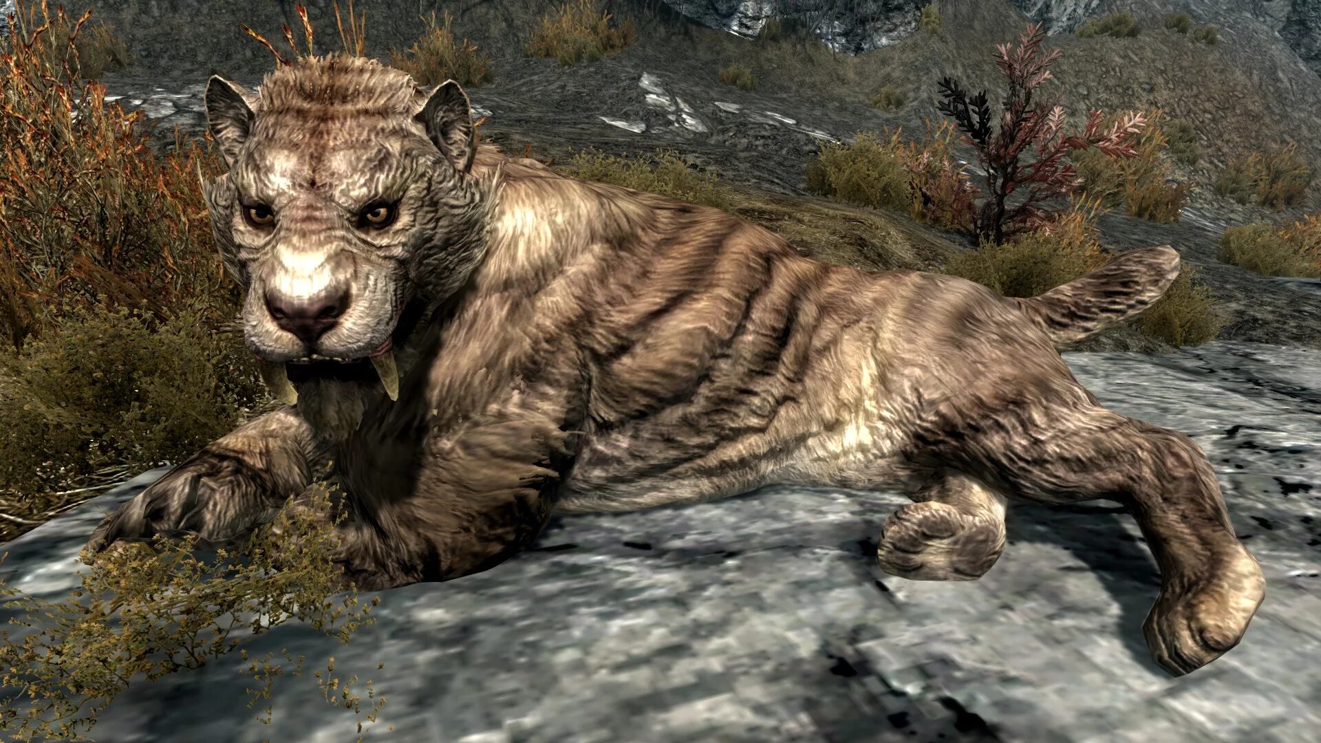 Animals skyrim