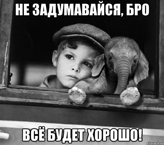 Да зарости оно всё прикольные картинки с надписями. Всё будет хорошо мемы. Сказал да все будет хорошо. Всё будет хорошо!. Статус все будет хорошо.