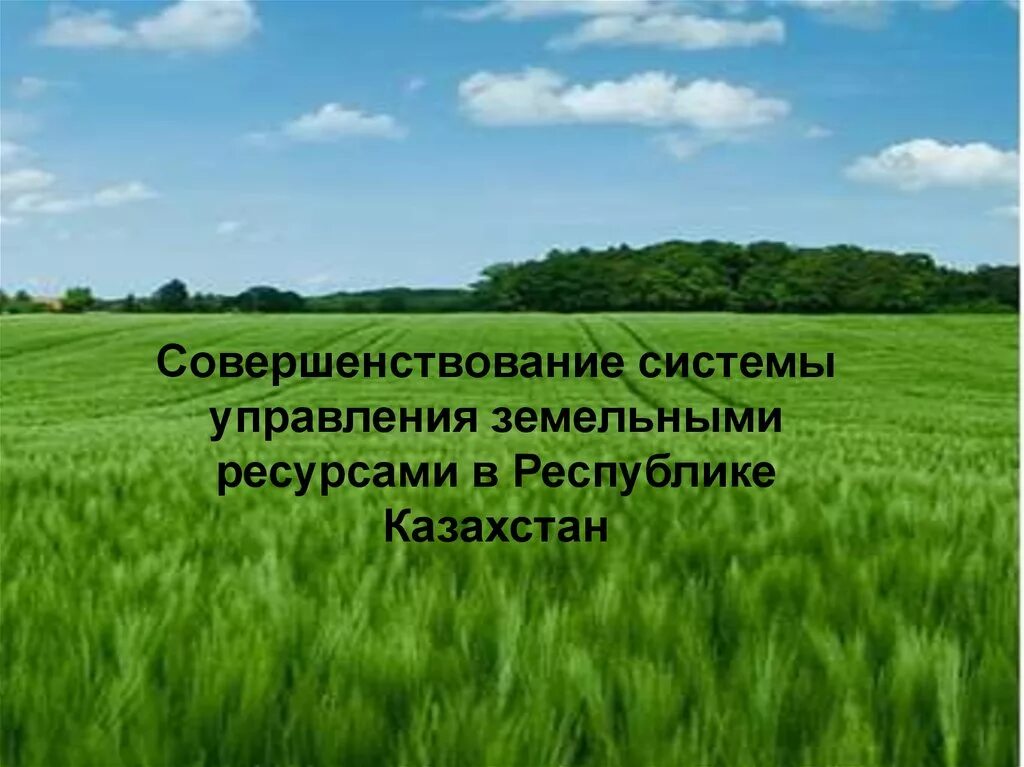 Эффективности управления земельными ресурсами. Земельных ресурсов. Управление земельные ресурсы. Земельные ресурсы охрана. Совершенствование системы управления земельными ресурсами.