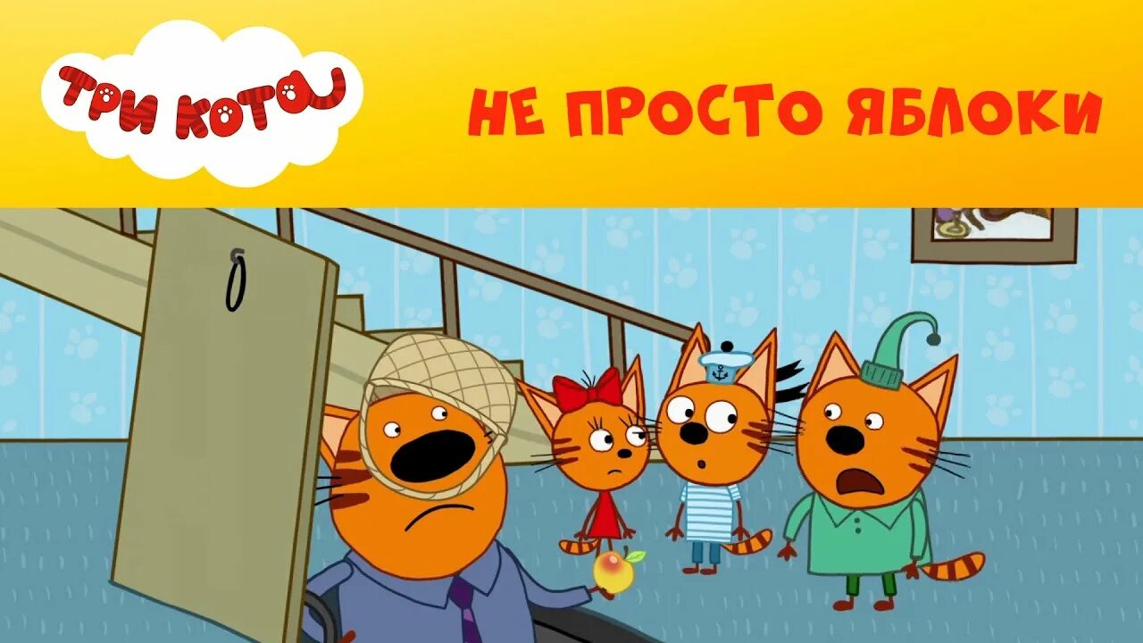 3 кота не просто яблоки. Три кота на СТС Kids. Три кота яблоки.