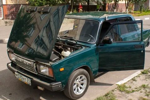 Морская пучина 6