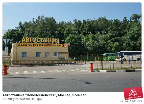 Станция новоясеневская автовокзал. Автостанция Новоясеневская Новоясеневский тупик 4. Новоясеневский тупик 4 автовокзал Москва. Автовокзал Ясенево Москва. Автовокзал Новоясеневская станция метро Москва.