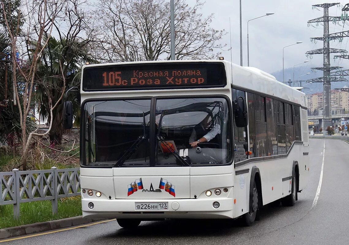 Проезд на 105 автобусе сочи. Проезд на 105 автобусе сочи