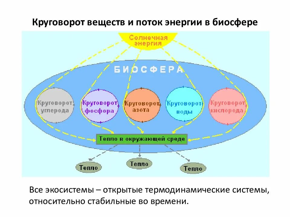 Круговорот биогенных веществ схема. Круговорот веществ и энергии в биосфере схема. Круговорот биогенных элементов в природе. Биологический круговорот веществ биогенных веществ.