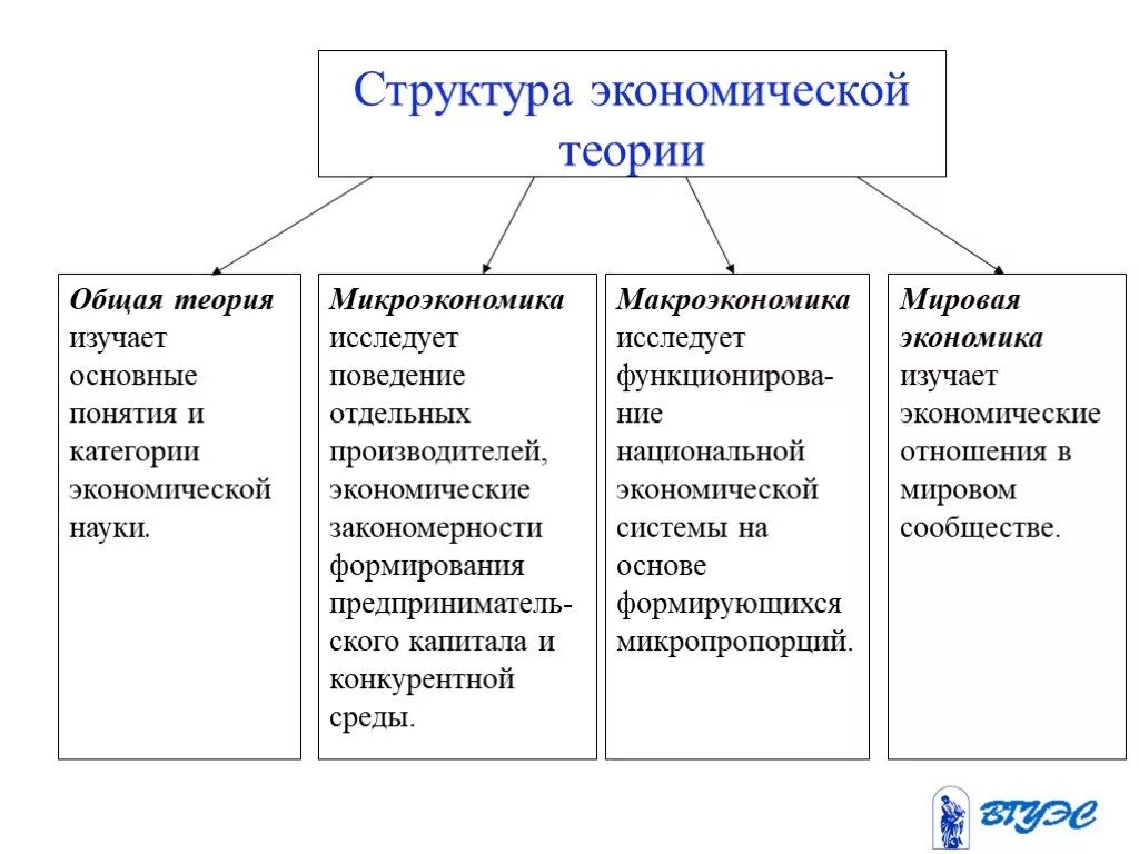 Экономические теории примеры. Предмет структура и функции экономической теории. Из чего состоит структура экономической теории. Структура современной экономической теории. Основные разделы экономической теории кратко.