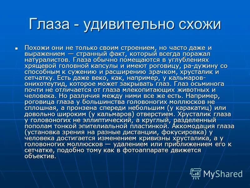 натуралист в искусстве. семьи натуралисты на озере. художник rupert charles wulsten bunny (1864 – 1947). натуралисты на природе. юные натуралисты александрия украина.
