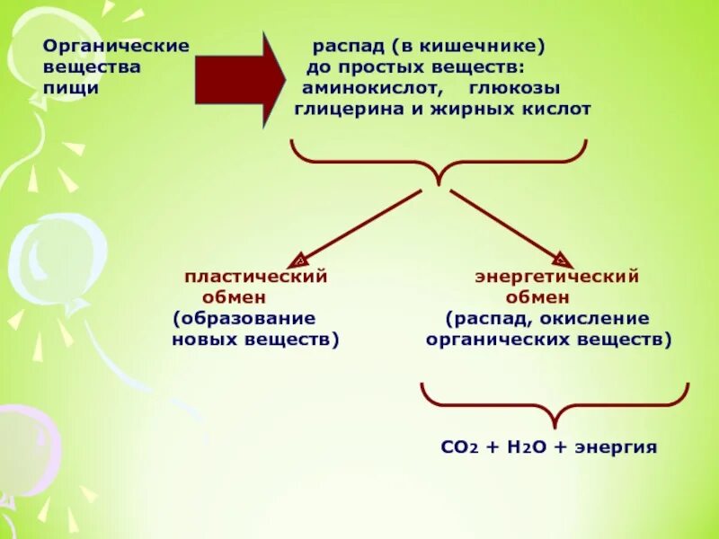 Органические вещества пластический энергетический обмен. Обмен органических веществ схема. Взаимосвязь пластического и энергетического обмена. Пластический и энергетический обмен схема. Распад веществ это
