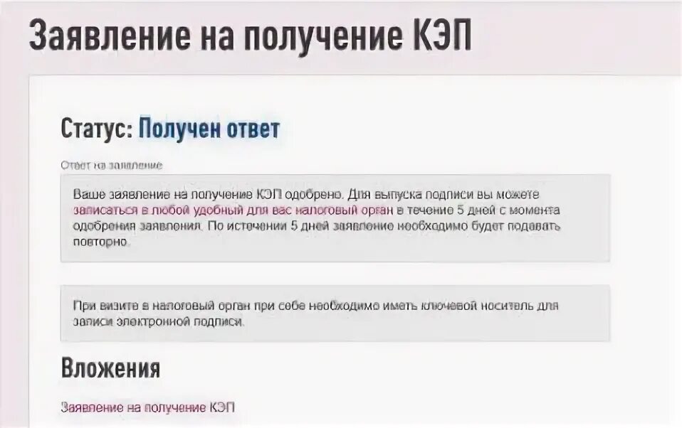 Документы для получения кэп в фнс