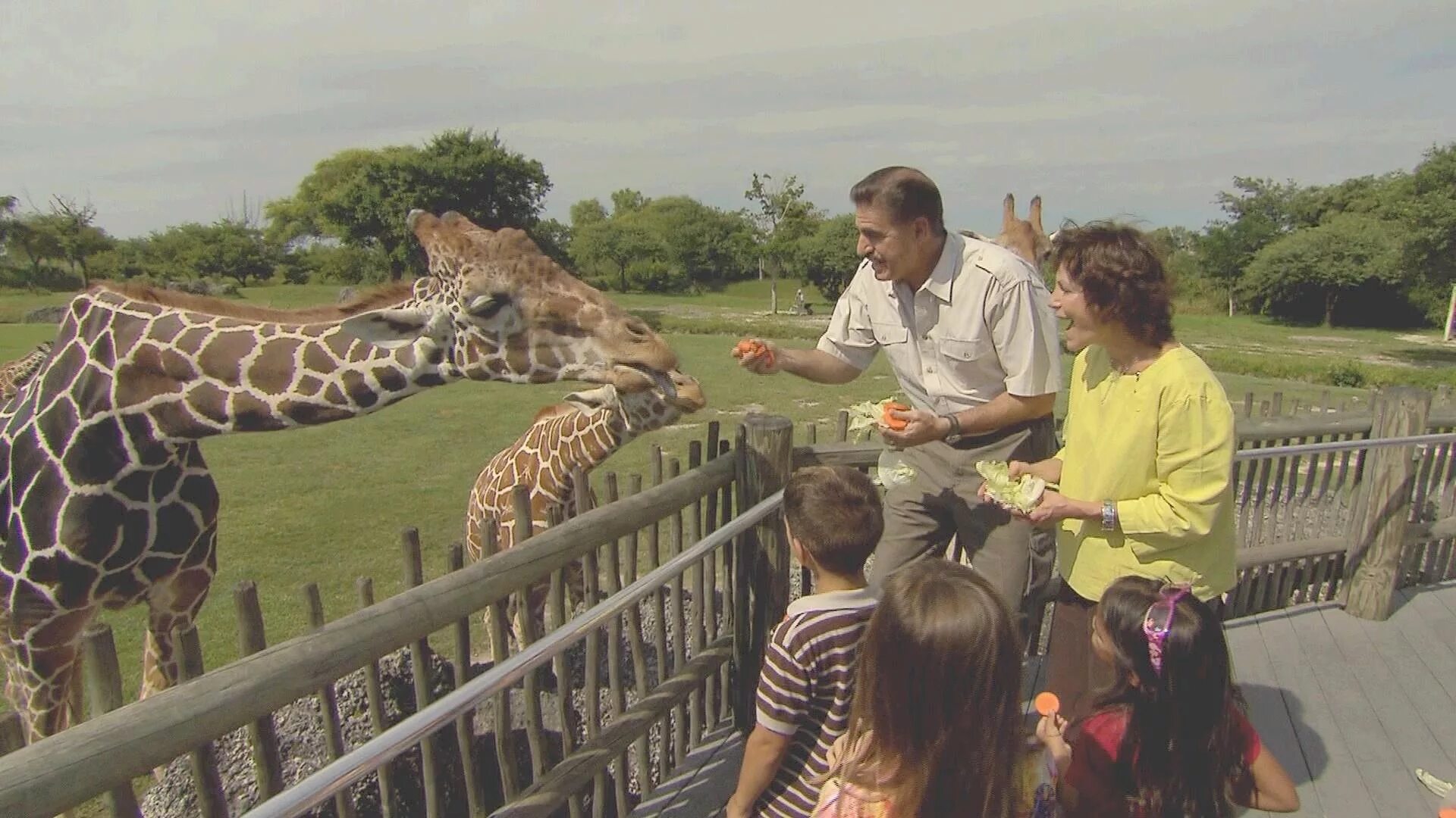 Going to the zoo tomorrow. A trip to the Zoo. Zoo field trip. ООП зоопарк. Картинка at the Zoo.