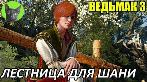 Где дом шани ведьмак 3
