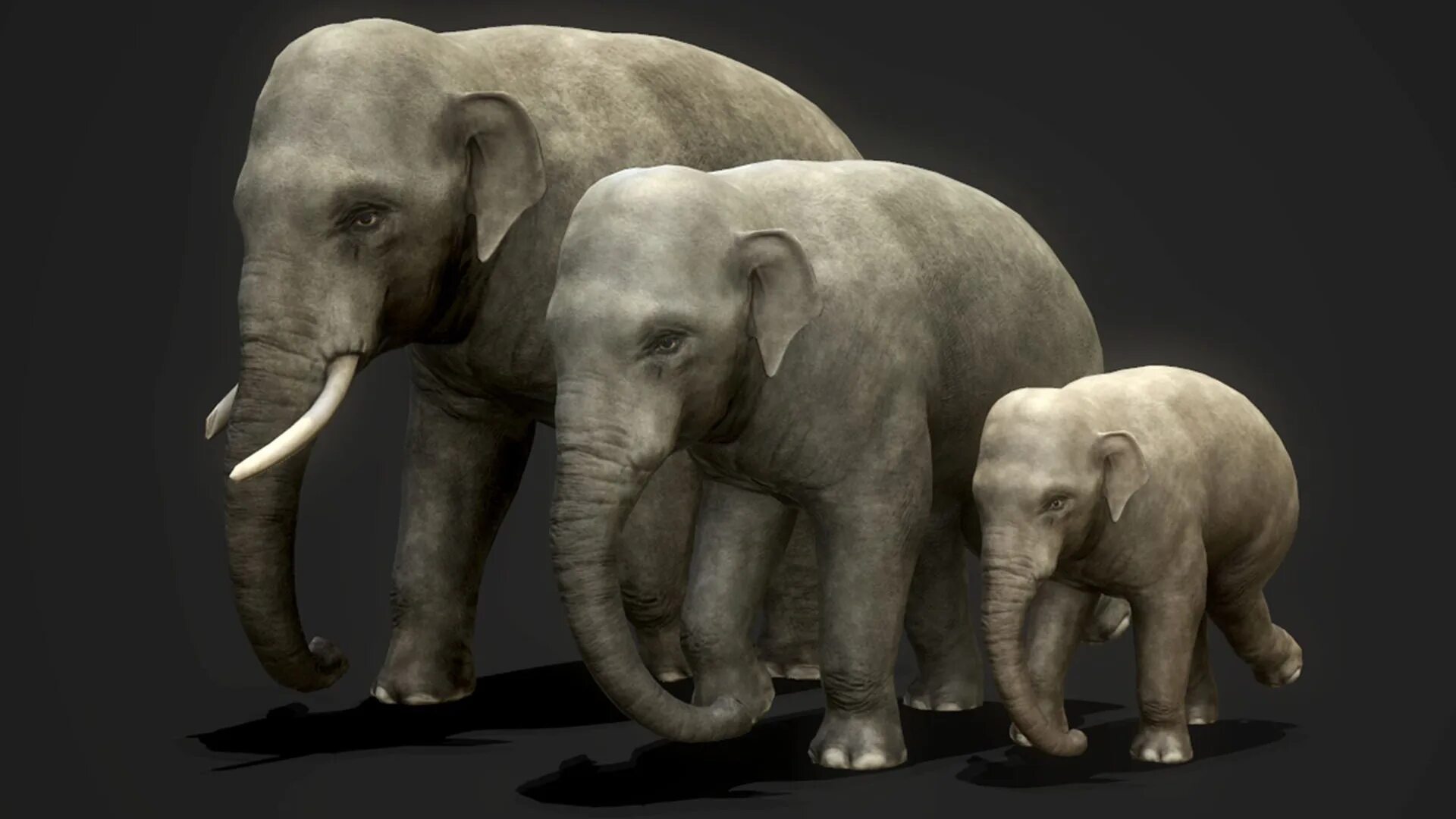 Elephant games