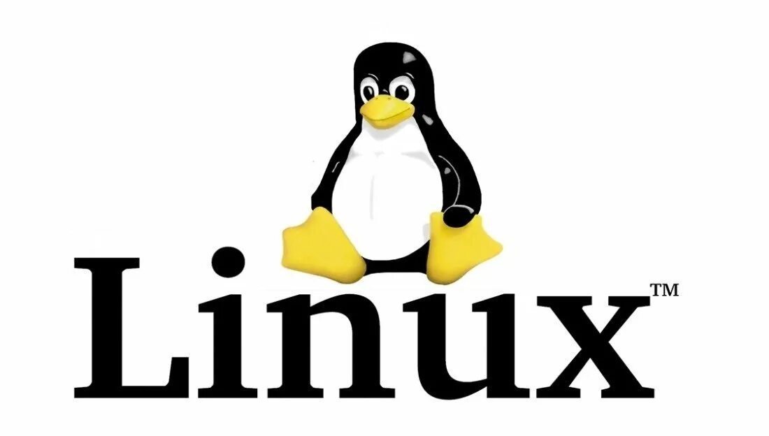 Птица изображенная на логотипе linux. Логотип ос линукс. программное обеспечение linux. логотипы unix linux. linux логотип без фона.