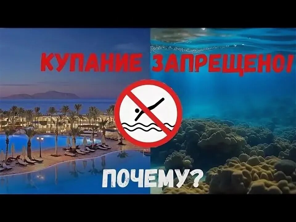 Почему в египте нельзя купаться ночью. Красное море почему нельзя купаться. Почему нельзя купаться ночью. Почему нельзя купаться ночью. Почему нельзя купаться в красном море.