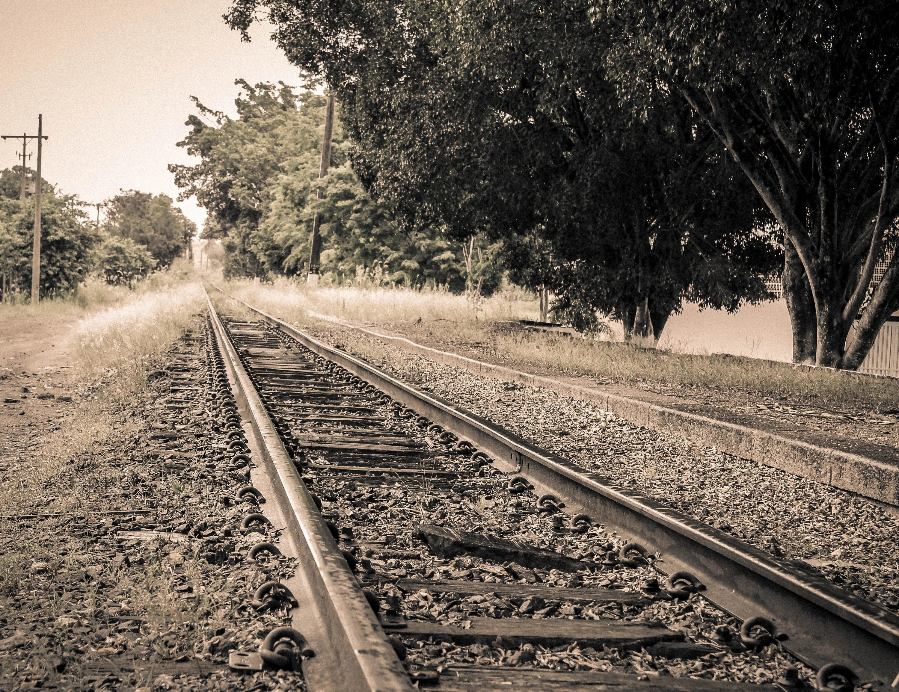Дорога со старым. Железнодорожное дерево. Дорожка поезд. Дорога времени. Фотосессия среди деревьев на железной дороге.