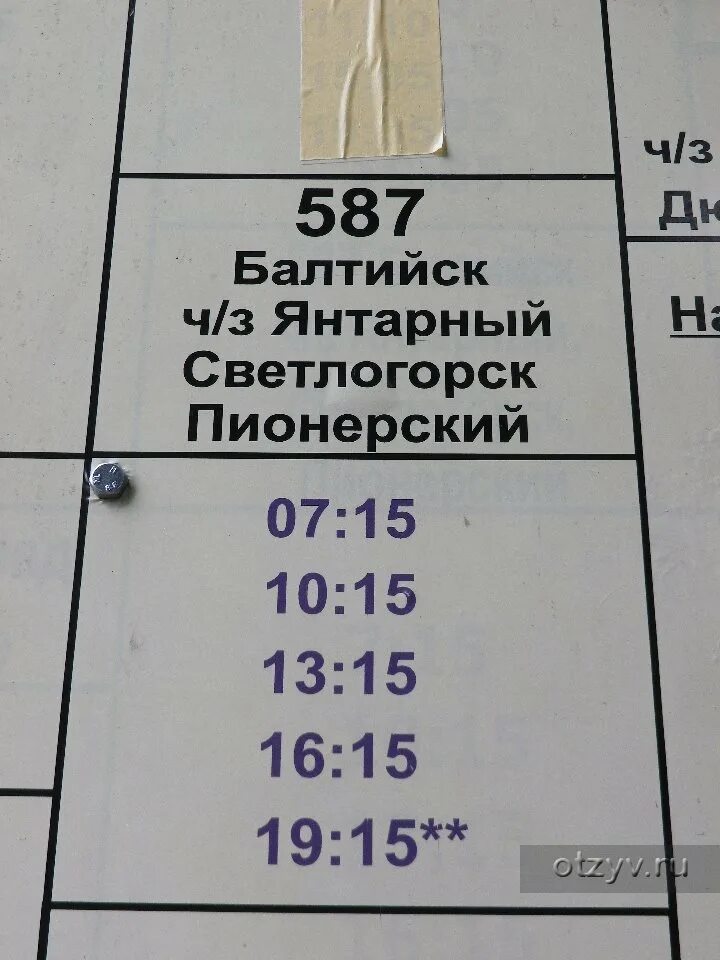 587 автобус расписание балтийск зеленоградск. Расписание автобусов Зеленоградск Балтийск. Расписание автобусов Светлогорск Янтарный. 587 Автобус Зеленоградск. Расписание автобусов Светлогорск Балтийск.